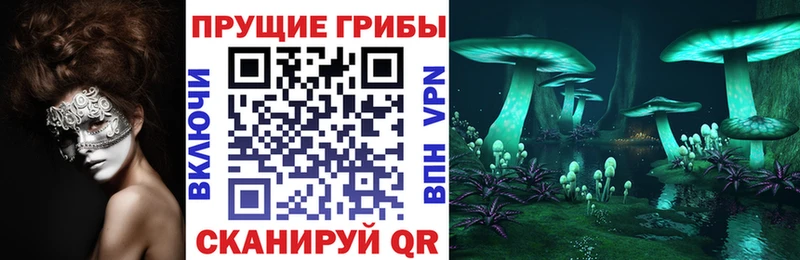 купить наркотики цена Инсар blacksprut как войти Псилоцибиновые грибы GOLDEN TEACHER